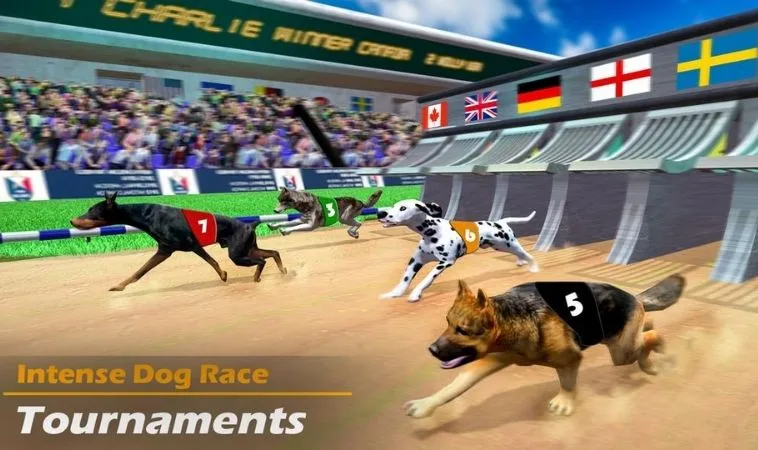 Tuyệt Chiêu Cách Chơi Game Nhanh Đua Chó Tại Fun88 Thắng Lớn 2 Giao diện chơi game nhanh Đua Chó Tại Fun88