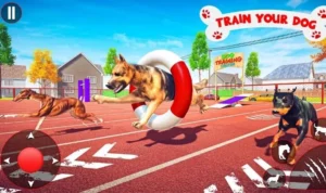 Tuyệt Chiêu Cách Chơi Game Nhanh Đua Chó Tại Fun88 Thắng Lớn 5 Đua Chó Tại Fun88