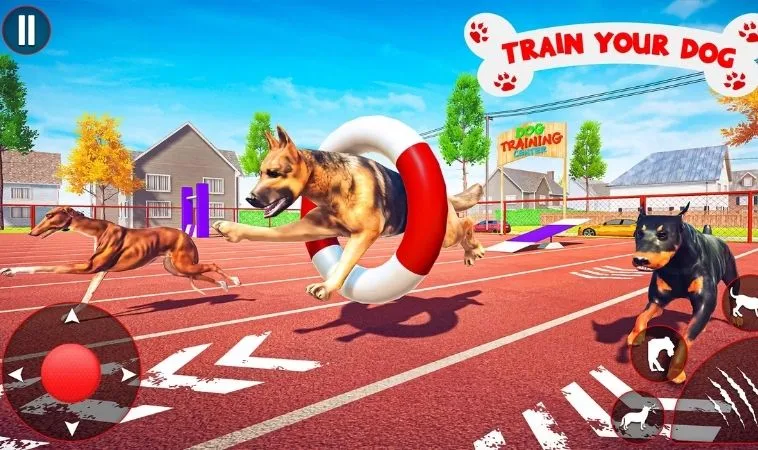 Tuyệt Chiêu Cách Chơi Game Nhanh Đua Chó Tại Fun88 Thắng Lớn 1 Đua Chó Tại Fun88
